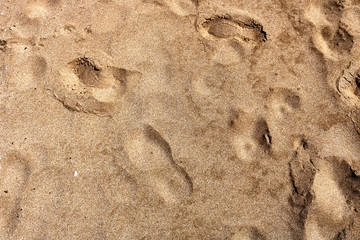 Sand texture.  Abstract background of the sand. 