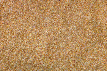 Sand texture.  Abstract background of the sand. 