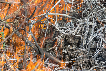 Bush on fire outdoor. Burning dry grass. Fire and smoke. background conceptual Dangerous fires and smokes