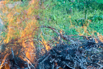 Bush on fire outdoor. Burning dry grass. Fire and smoke. background conceptual Dangerous fires and smokes