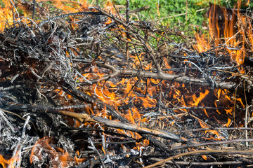 Bush on fire outdoor. Burning dry grass. Fire and smoke. background conceptual Dangerous fires and smokes