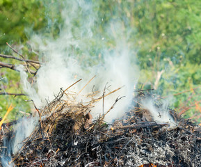 Bush on fire outdoor. Burning dry grass. Fire and smoke. background conceptual Dangerous fires and smokes