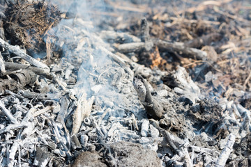 Bush on fire outdoor. Burning dry grass. Fire and smoke. background conceptual Dangerous fires and smokes