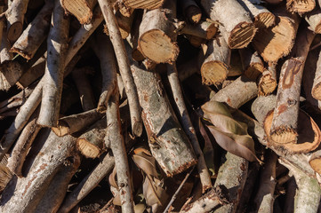 pile of firewood