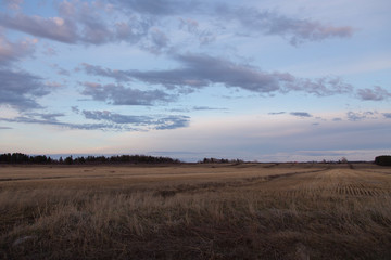 Fields covered in dry grass seen during a beautiful peaceful spring evening, Cacouna, Quebec, Canada