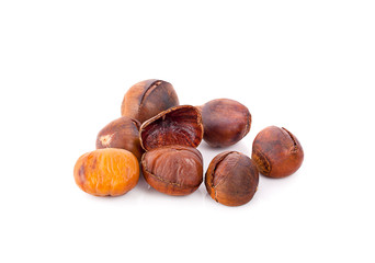 chestnut isolated on white background