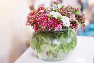 Fototapeta na wymiar Bouquet Pink Flowers in Glass jar and water in glass vase.