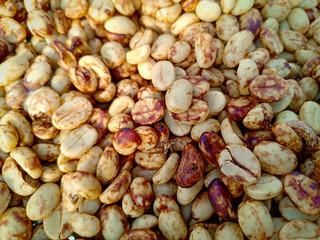 Raw coffee beans peeled off. The process of drying.