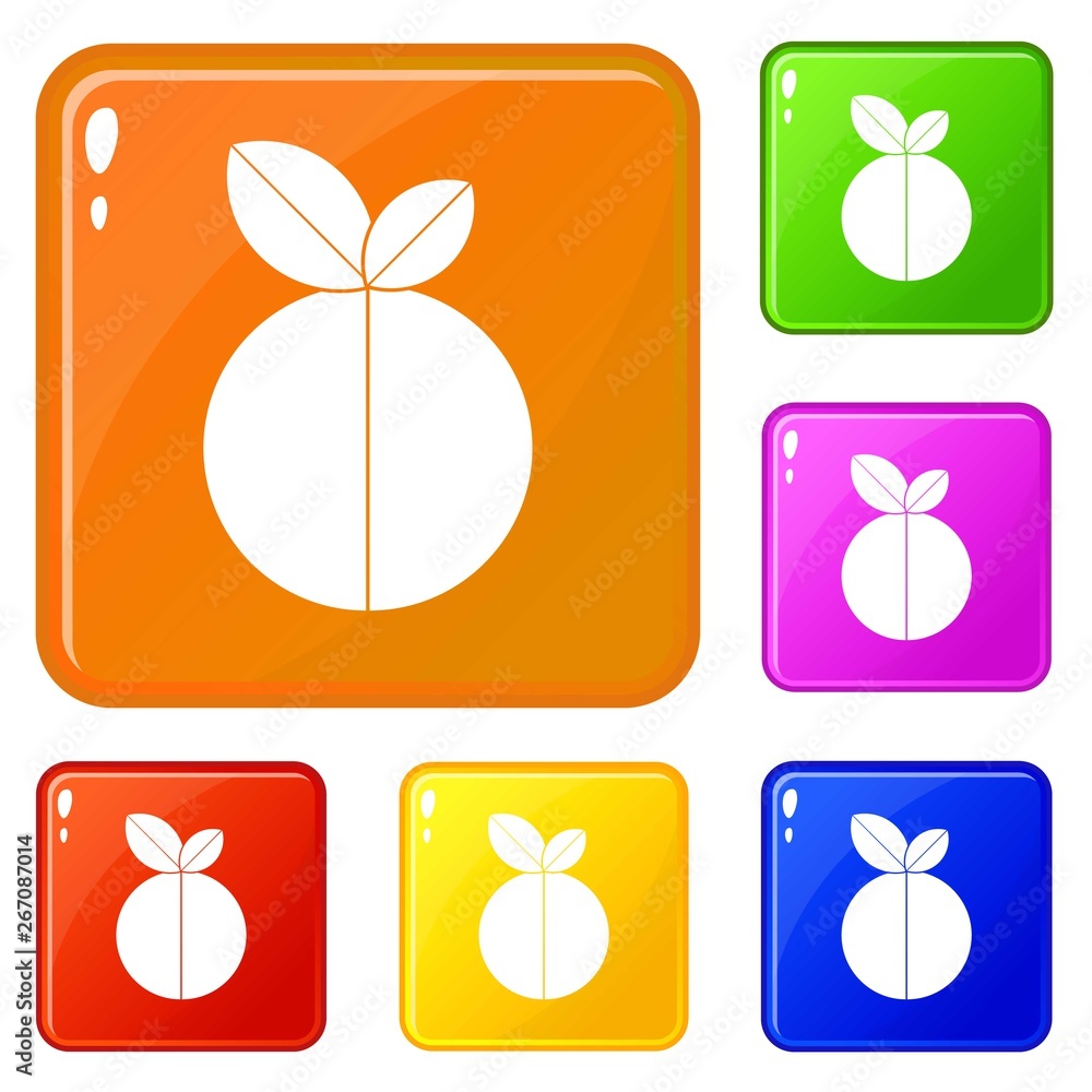 Poster round apple icons set collection vector 6 color isolated on white background