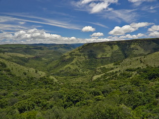 Fototapeta na wymiar Scenic view on green forest and blue sky in South Africa