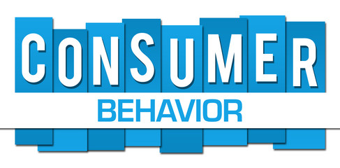 Consumer Behavior Blue Professional Horizontal 