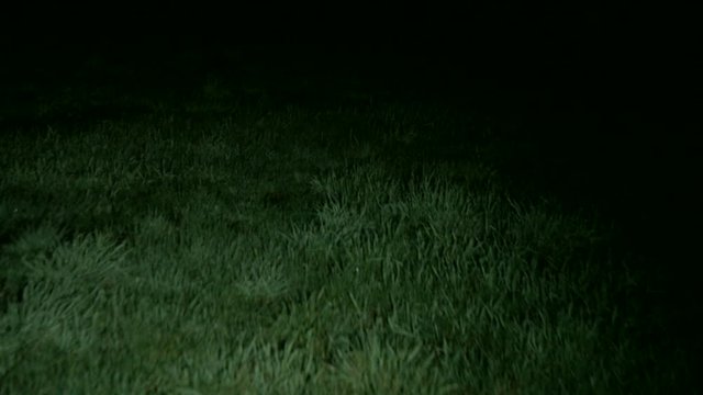 Walking through scary grassy field at nightEscaping from monsters or other scary stuff through the grassy field with darkness all around. Someone is chasing you and wants to eat you.
