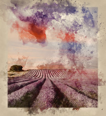 Obraz na płótnie Canvas Watercolour painting of Stunning lavender field landscape Summer sunset
