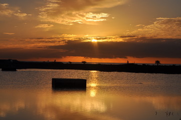 The beautiful natural Wetland Limassol Salt Lake landscape in Cyprus