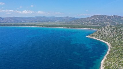 Naklejka premium Aerial bird's eye view photo taken by drone of tropical seascape and sandy beach with turquoise clear waters and pine trees