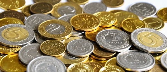 PLN, polish zloty -  the masculine from the Polish word 'golden', the currency of Poland. Stack of coins.  Financial growth, home budget, saving money, business, currency, work, bank, economy concept