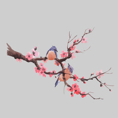 Watercolor vector sakura branch © zenina