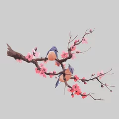 Aquarell Vektor Sakura-Zweig © Zenina-Lembrik