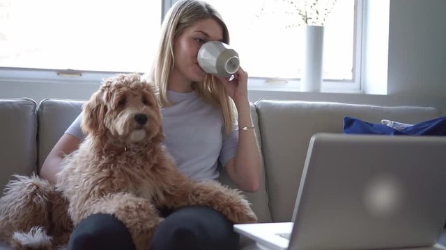 woman with his Golden Labradoodle dog at home drinking coffee