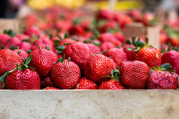 Fresh ripe strawberries in wooden basket ready for sale on the marketplace in Belgrade. Space for...