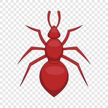 Ant icon. Cartoon illustration of ant vector icon for web