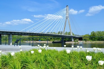 Swietokrzyski Bridge over Vistula river, Warsaw, Poland. Modern, cable-stayed bridge with single tower and cables attached supporting the deck. Spring season