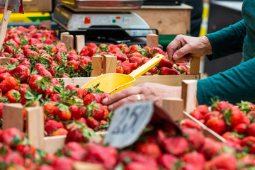Fresh ripe strawberries in wooden basket ready for sale on the marketplace in Belgrade.