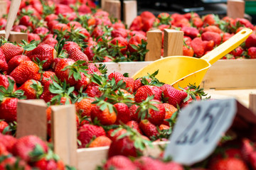 Fresh ripe strawberries in wooden basket ready for sale on the marketplace in Belgrade.
