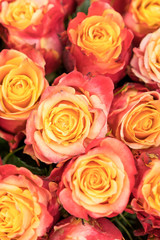 Background of pink and peach roses. Fresh pink roses. A huge bouquet of flowers. The best gift for women. Background. vertical photo