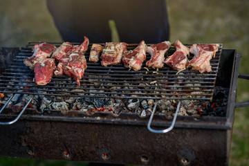Баранина на гриле, солнечным летним вечером на природе, на фоне тлеющих углей Grilled lamb, on a sunny summer evening in nature, against the background of embers
