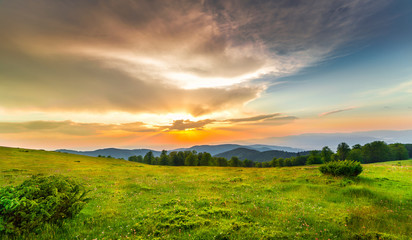 Fototapeta na wymiar Sunset over green field