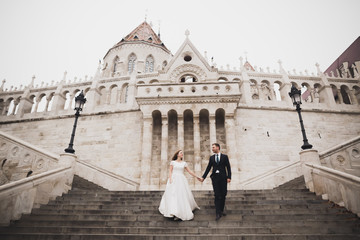Obraz premium Wedding couple holding hands, groom and bride together on wedding day