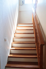 Perspective of modern wooden stair in Interior design concept.