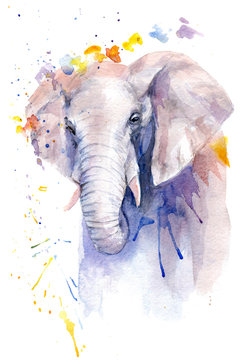 watercolor drawing of an animal - an elephant in flowers