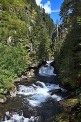 Fototapeta na wymiar Austrian Alps-view on rapids in Riesachfall