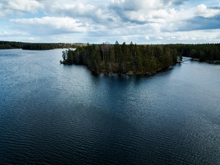 Forest by lake