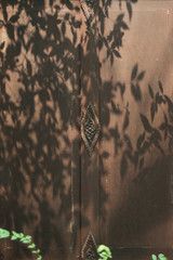 Tree shadows in the garden on antique thai style wooden window on brick wall. Vintage concept.