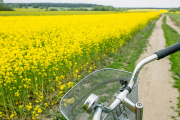 Fototapeta na wymiar Concept bike through blooming yellow rapeseed field. summer walk bicycle