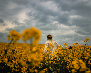 Walk in a yellow field