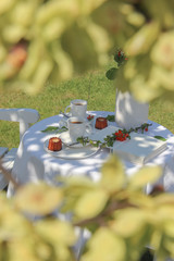 Enjoying coffee time in the garden. White table with coffee, canele and flowers served in the garden. View through a blurred branches