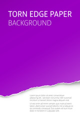 Torn edge paper purple background. Page or card vector template.
