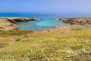 Apulia beach: Torre Guaceto Nature Reserve -ITALY- The nature sanctuary between the land and the sea: sandy beach set among purple wild flowers, turquoise crystalline sea, green lush vegetation.