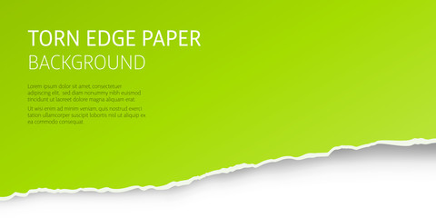Torn edge paper green background. Page or card vector template.