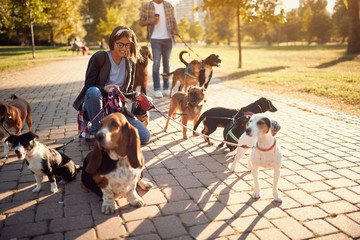 Smiling professional dog walker on the street .