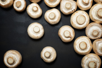 Mushrooms close up