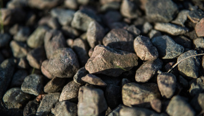 Rocks and stones in the spring time, depth of field, 