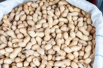 Jumbo raw peanuts in shell sold in shuk Levinsky market, Tel Aviv, Israel