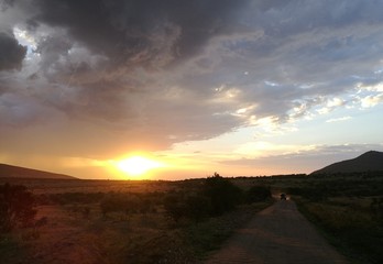 Safari sunset