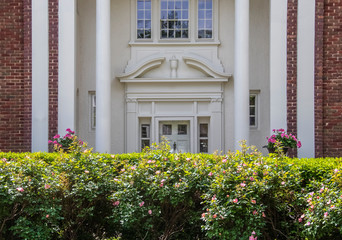 Fototapeta na wymiar Elegance - Rosebush hedge that needs trimmed in full sun in front of shadowed blurred ornate entrance to upscale brick and stucco home with columns and potted flowers