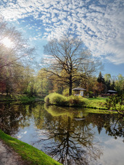 Fototapeta na wymiar Spring landscape, by the pond.